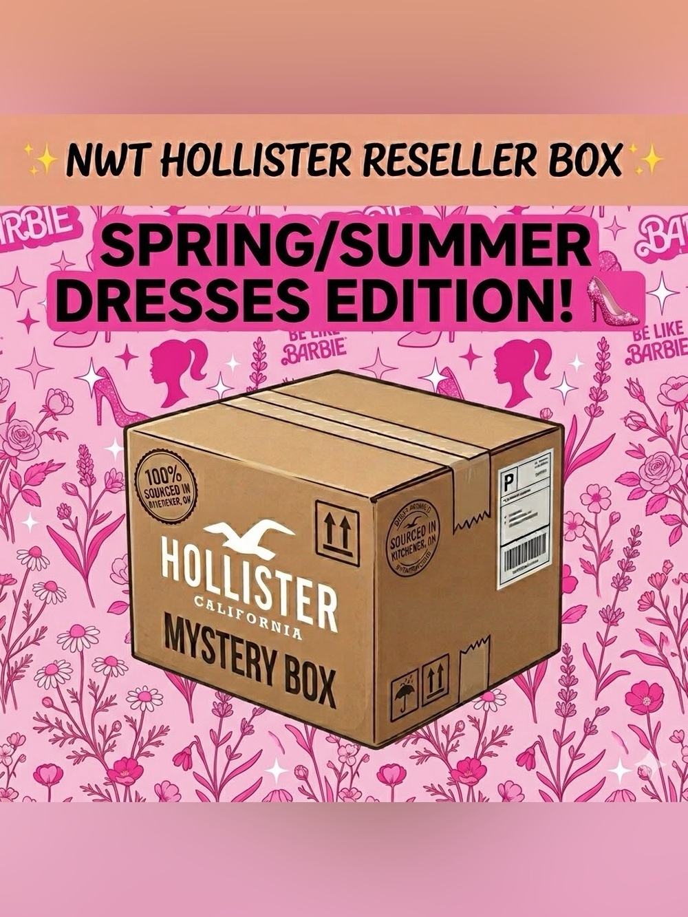 NWT $300+  Barbie Core Hollister Reseller Box